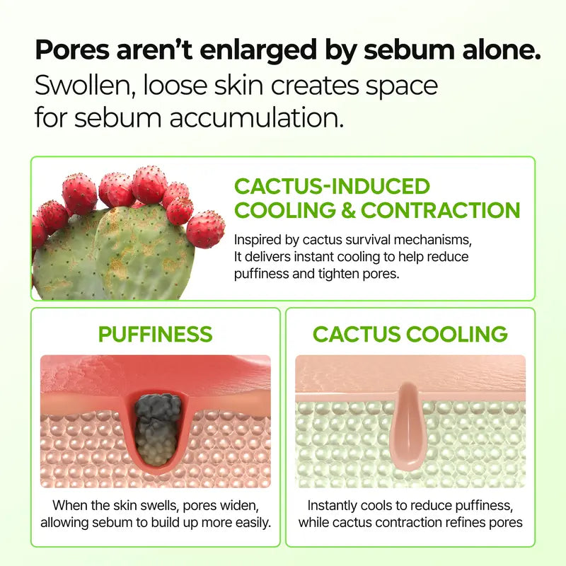 [Dr.Melaxin Official] Cactox & Collagen Multi Pore Firming Duo with Cactus Cooling & Eye Care Stick for Visible Pore Refining and Skin Repair