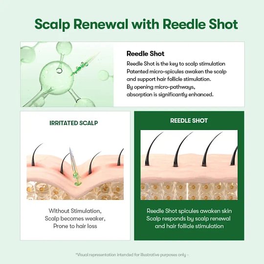 PDRN Reedle Shot Hair Brush Serum with Original Liquid Microneedling & PDRN | Large-Capacity Full Scalp Care, Hair Thickening, Fuller-Looking Hair & Daily Root Care | Hairline, Roots, Baby Hair & Dry Scalp | Korean Haircare