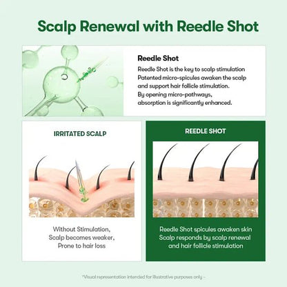 PDRN Reedle Shot Hair Brush Serum with Original Liquid Microneedling & PDRN | Large-Capacity Full Scalp Care, Hair Thickening, Fuller-Looking Hair & Daily Root Care | Hairline, Roots, Baby Hair & Dry Scalp | Korean Haircare